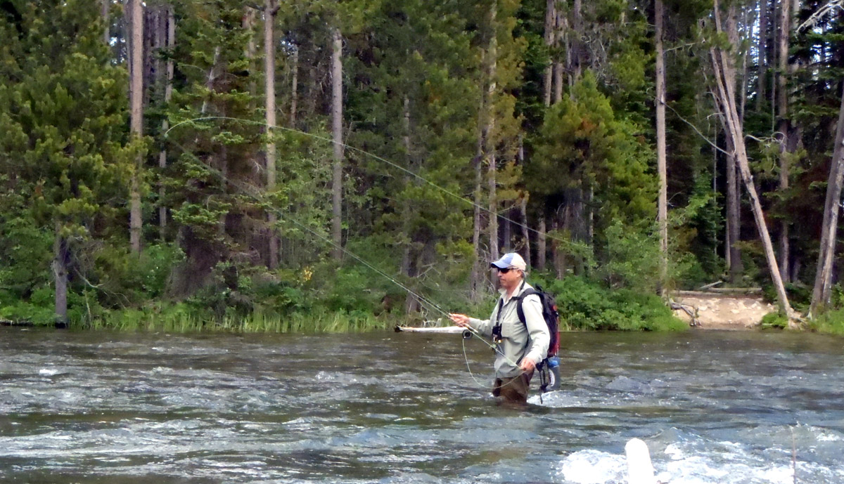 Best Fly Fishing Jackson Wy at Lonnie Hitt blog